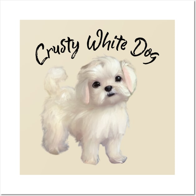Just A Cute Little Crusty White Dog with Fluffy Curly Hair
